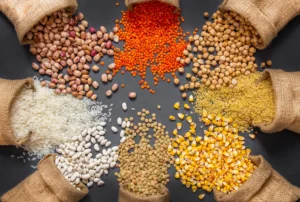 Scientific Name of Grains in hindi