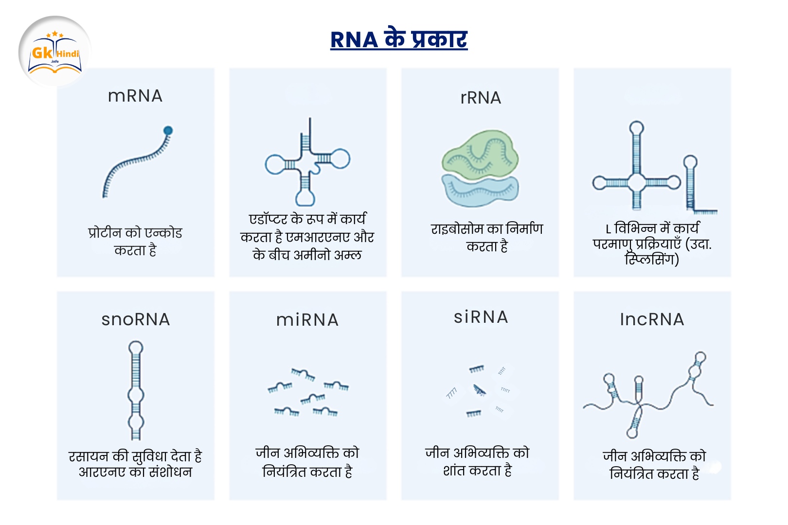 WHAT IS THE DIFFERENCE BETWEEN RNA AND DNA IN HINDI visual data 6