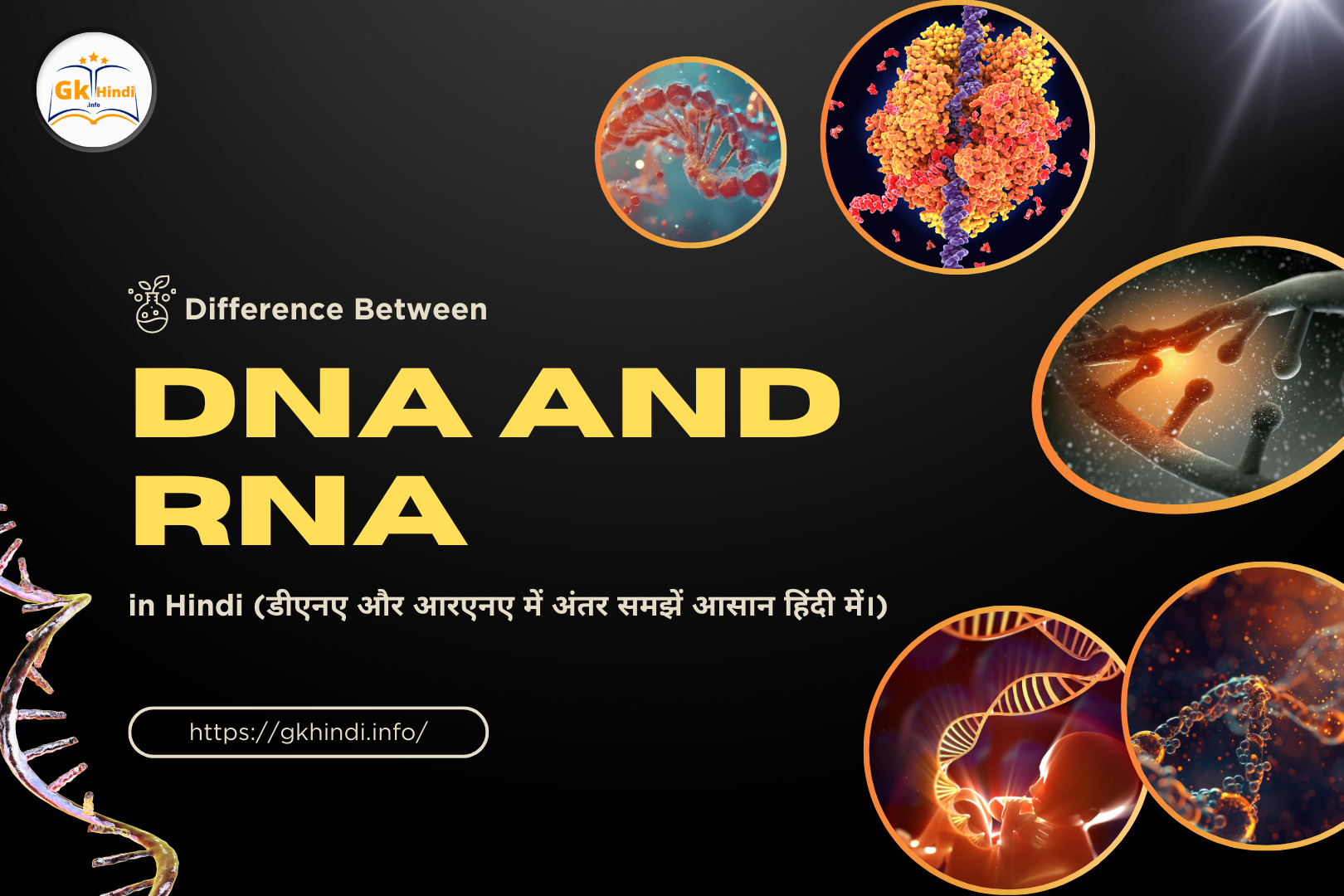 Read more about the article DNA and RNA Difference in Hindi को समझें आसान हिंदी में!