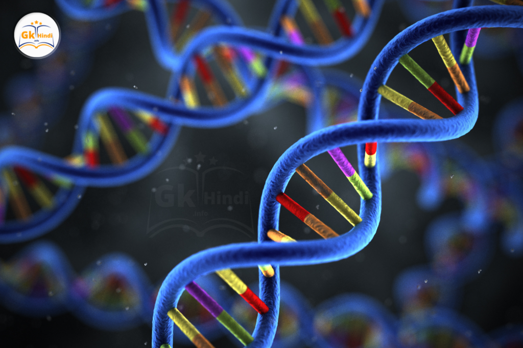 Ribose vs Deoxyribose