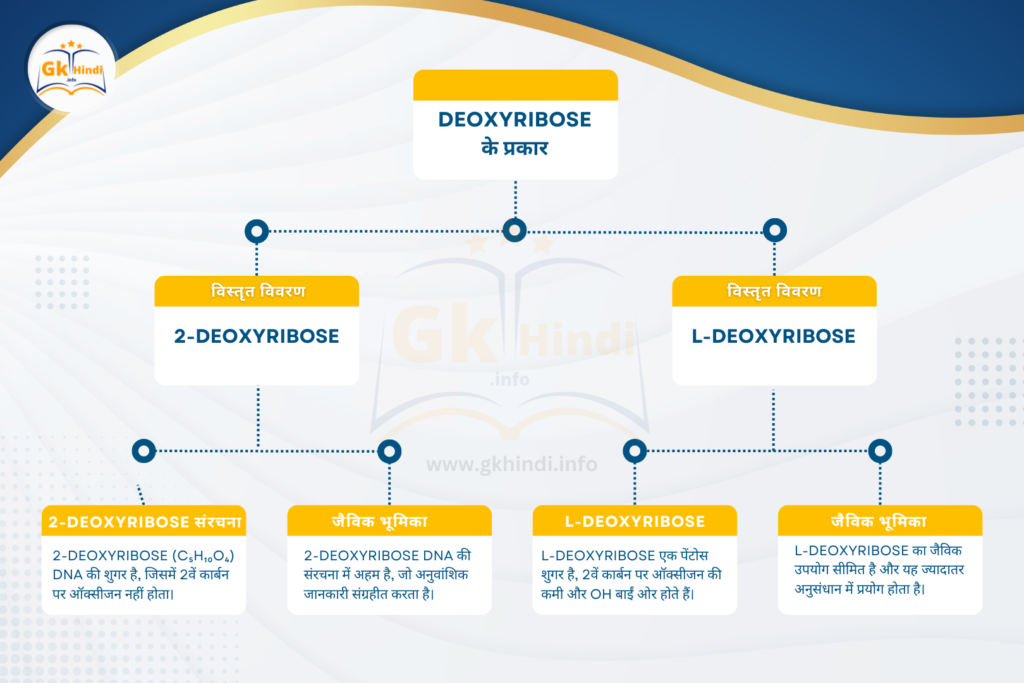 Deoxyribose-types