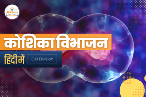 Read more about the article Cell Division in Hindi: जानें इसके प्रकार और प्रक्रिया!