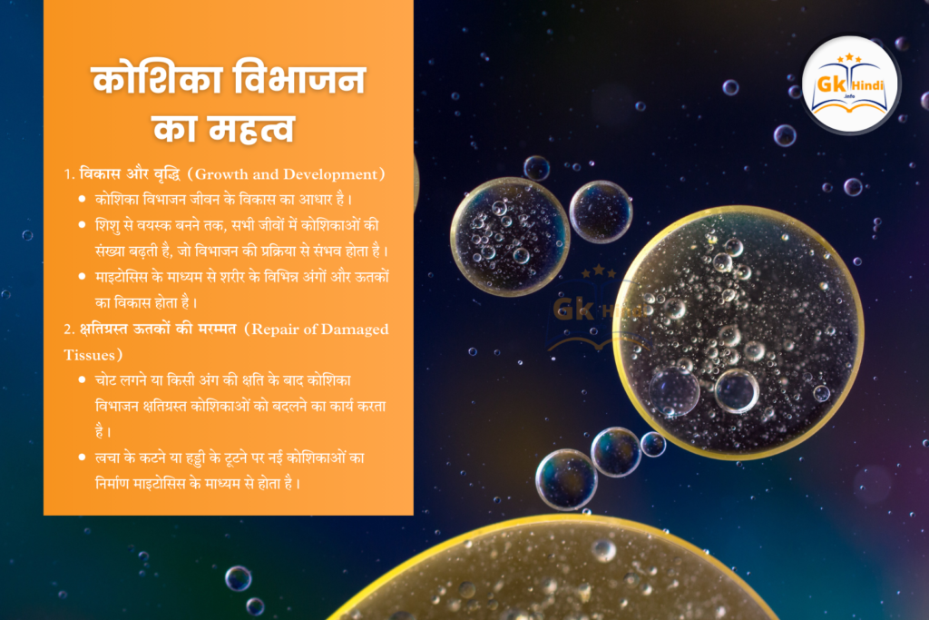 cell-division-in-hindi