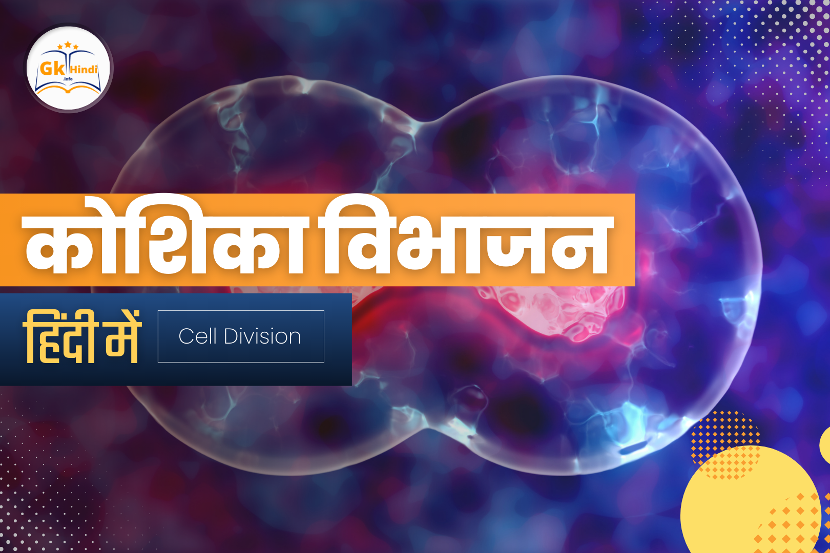 You are currently viewing Cell Division in Hindi: जानें इसके प्रकार और प्रक्रिया!