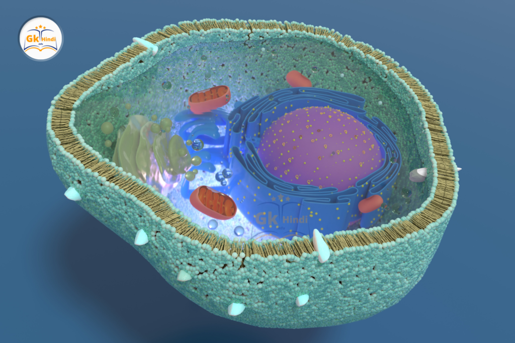 ऑर्गेलेस (Organelles)