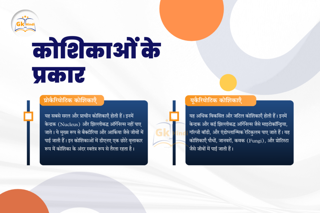 types-of-cell-in-hindi