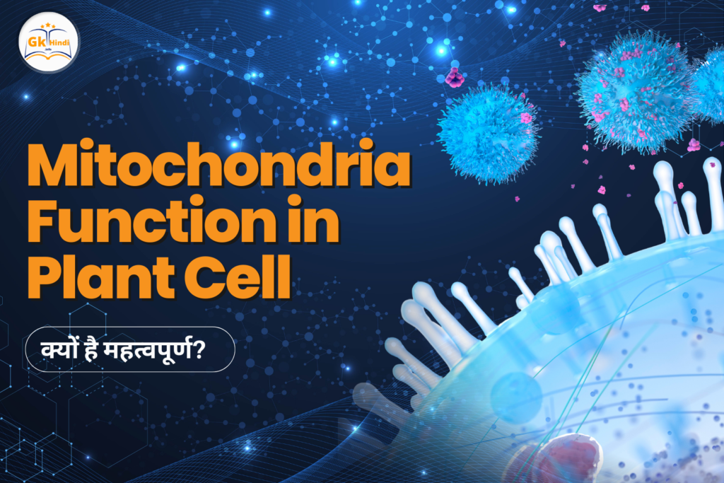 mitochondria-function-in-plant-cell