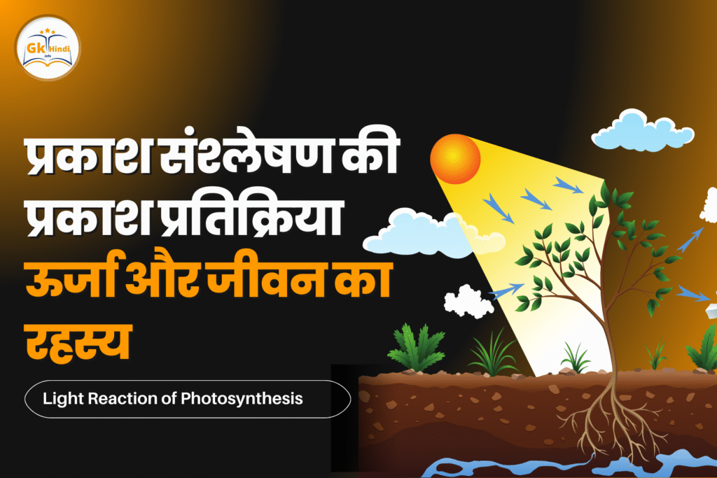 light-reaction-of-photosynthesis